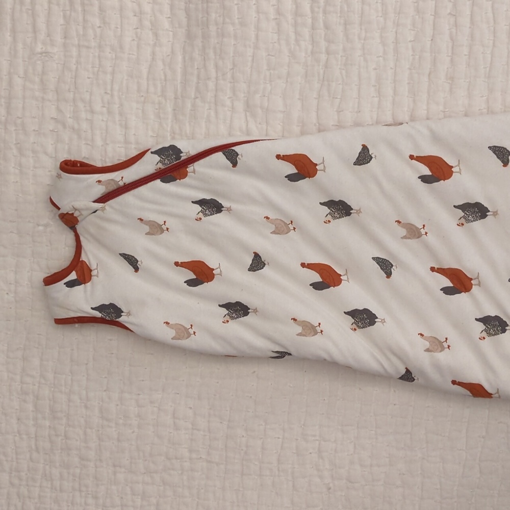 Kyte baby bamboo sleep sack size small TOG 2.5